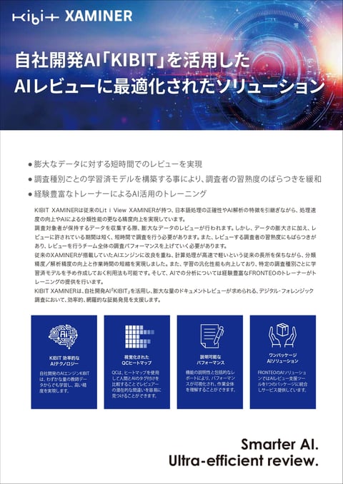 flyer_KIBIT EXAMINER_2507(トンボ無し)_page-0001