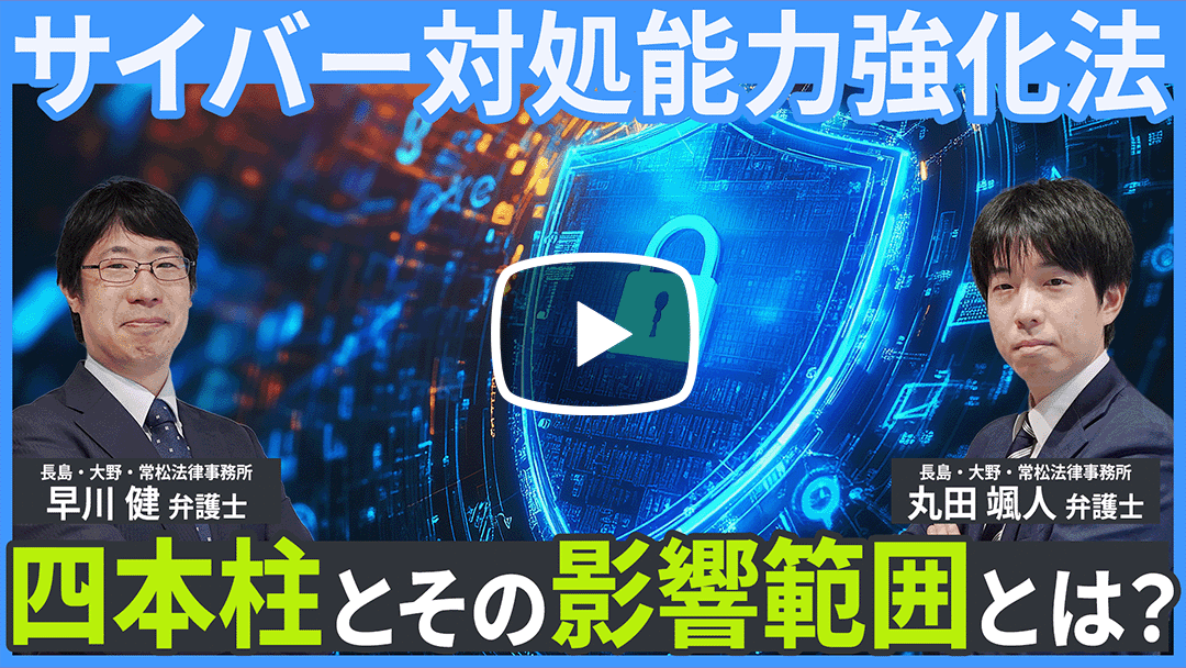 第8回：近時の動向を踏まえた、サイバーセキュリティと法的リスクの考え方のサムネイル